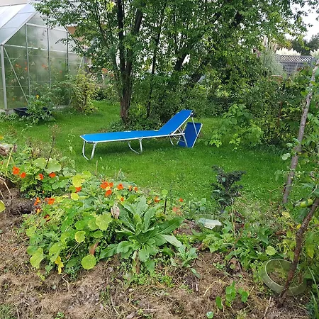 Appartement Sonnenhaus *