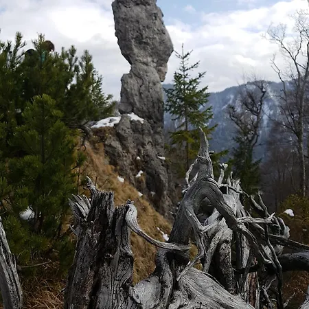 Sonnenhaus Διαμέρισμα Siegsdorf