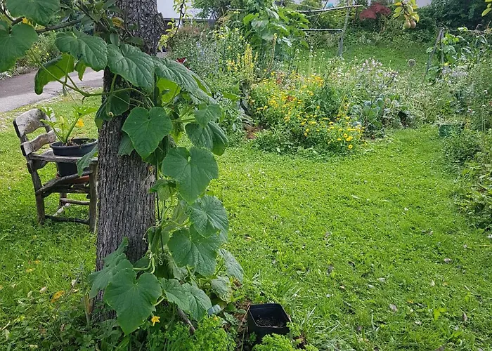 Sonnenhaus Apartman Siegsdorf